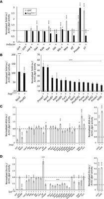 Proteasome α6 Subunit Negatively Regulates the JAK/STAT Pathway and Blood Cell Activation in Drosophila melanogaster